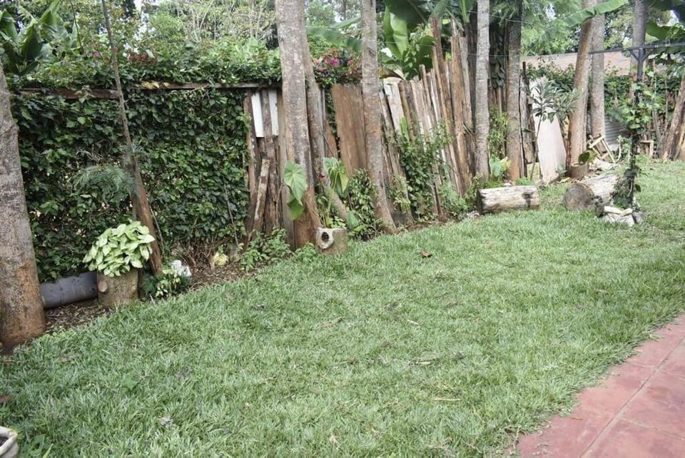 A peaceful and lovely 1 bedroom vacation Dina's little home Apartment in Kenya