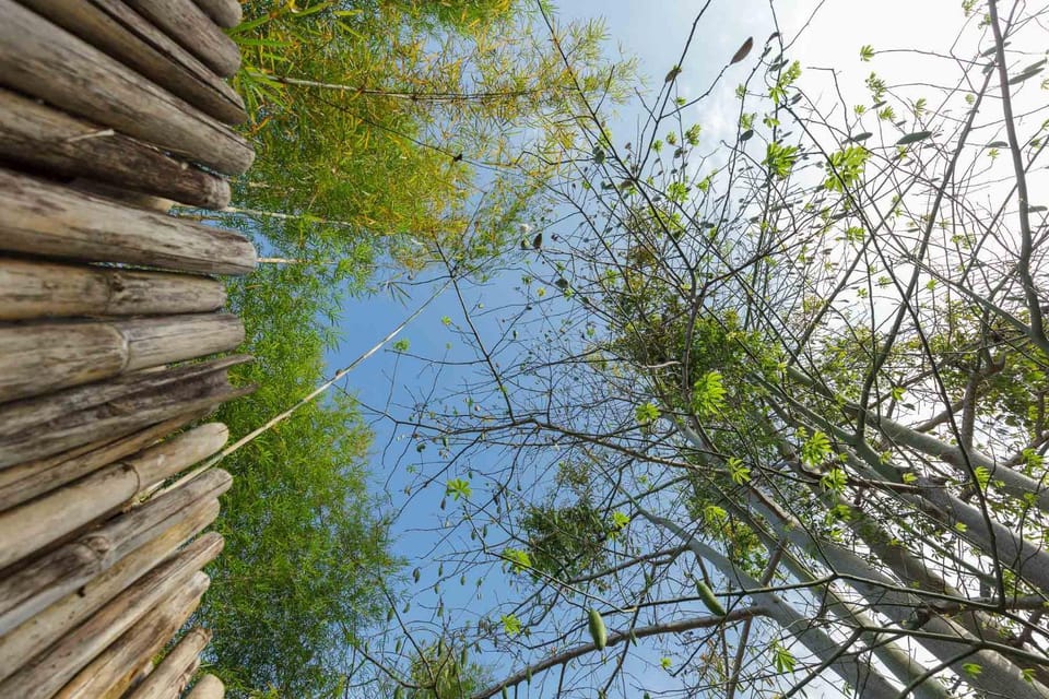 Natural landscape