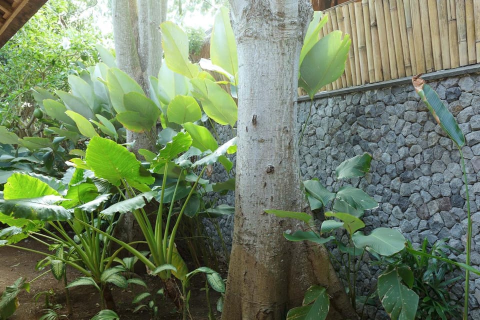 Natural landscape