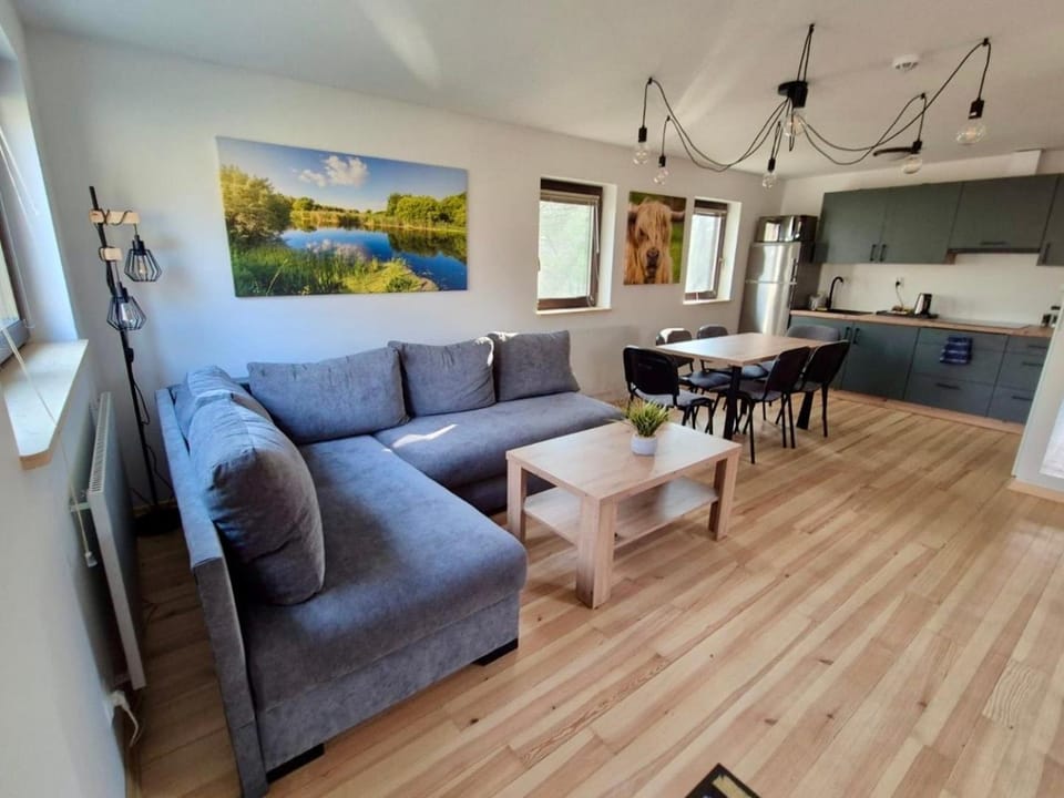 Kitchen or kitchenette, Living room, Seating area