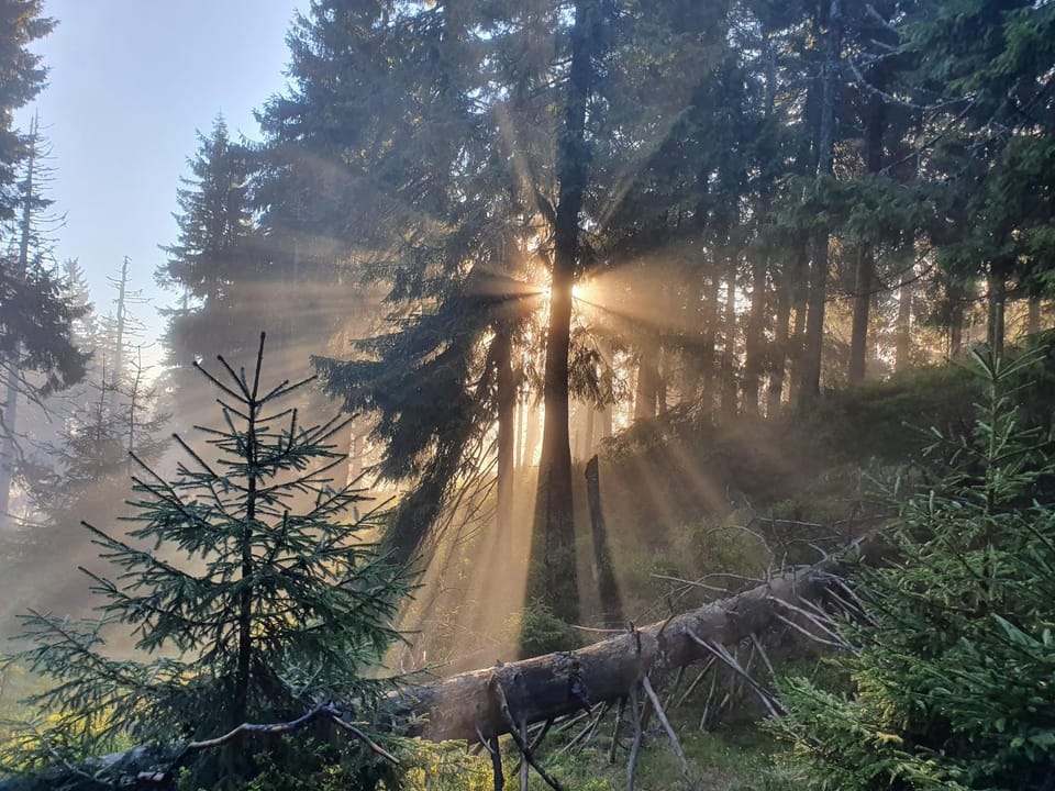 Natural landscape, Sunrise
