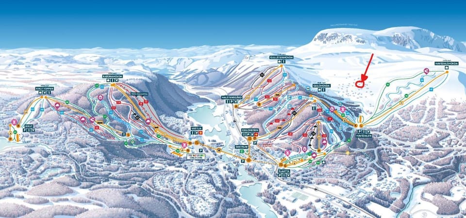 Skiing, Skiing