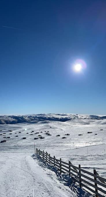 Skiing