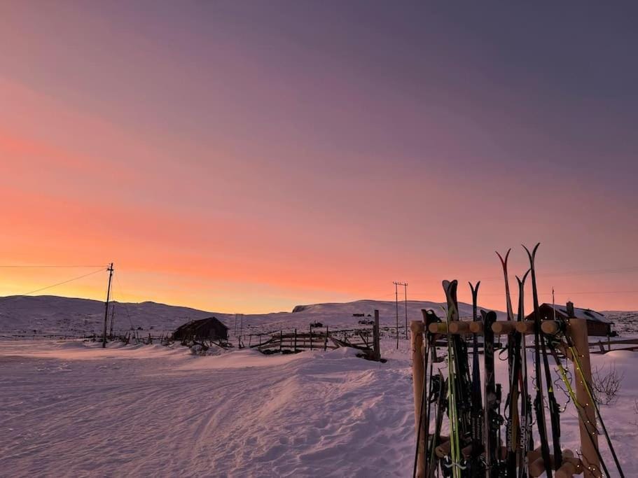 Natural landscape, Skiing, Sunset
