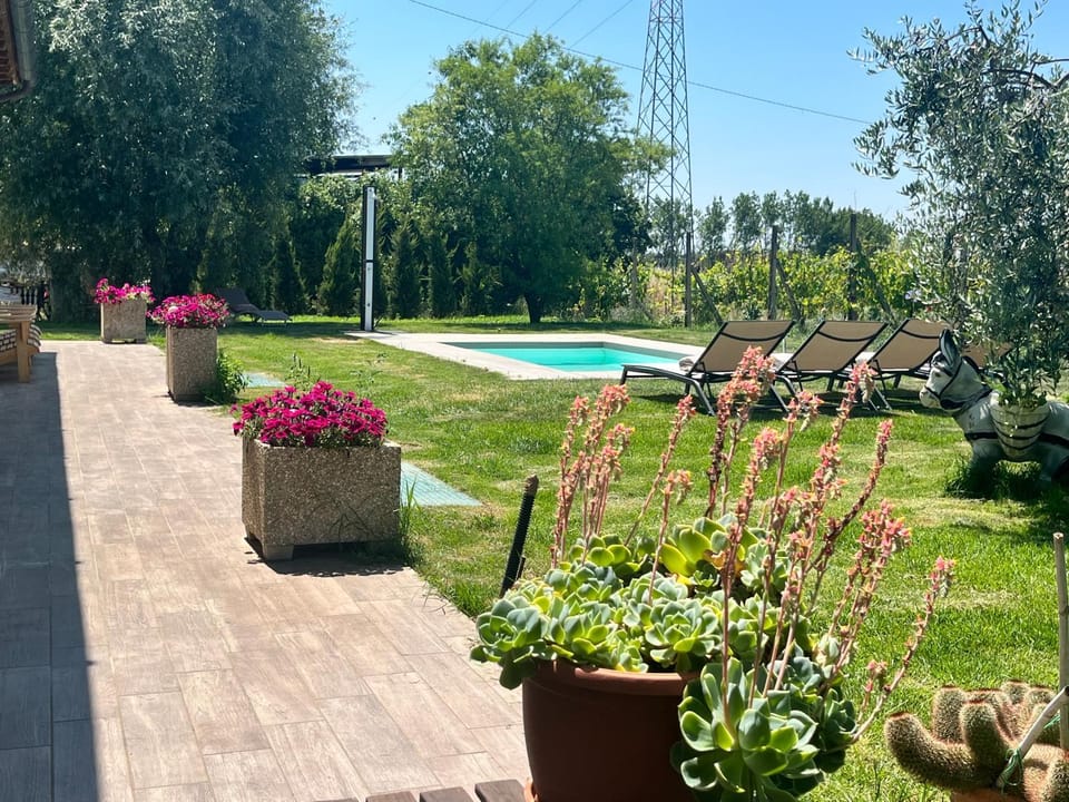 Shower, Spring, Day, Garden, Garden view, Pool view, Swimming pool, sunbed