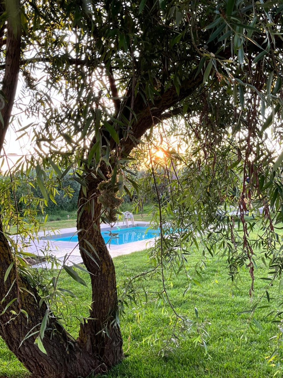 Spring, Day, Natural landscape, Garden, Garden view, Pool view, Swimming pool