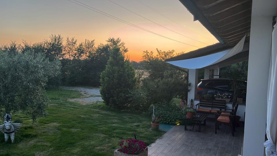 Patio, Natural landscape, Garden, Garden view, Sunset