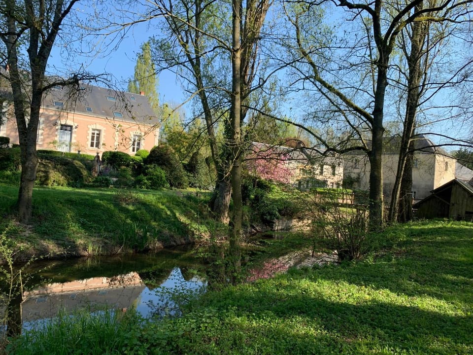 Neighbourhood, Natural landscape, Garden, Garden