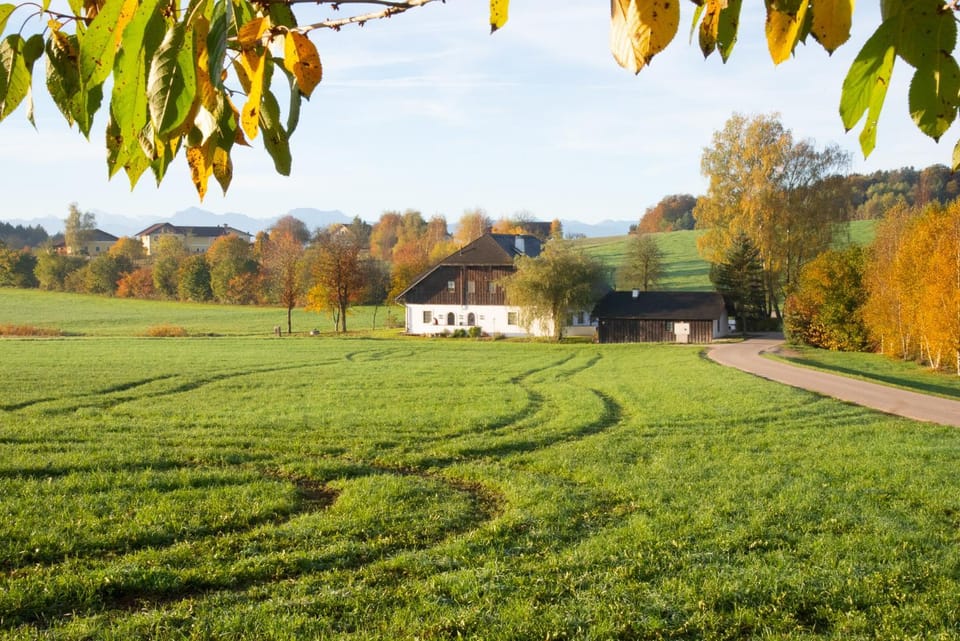 Seehof direkt am See Apartment in Salzburgerland