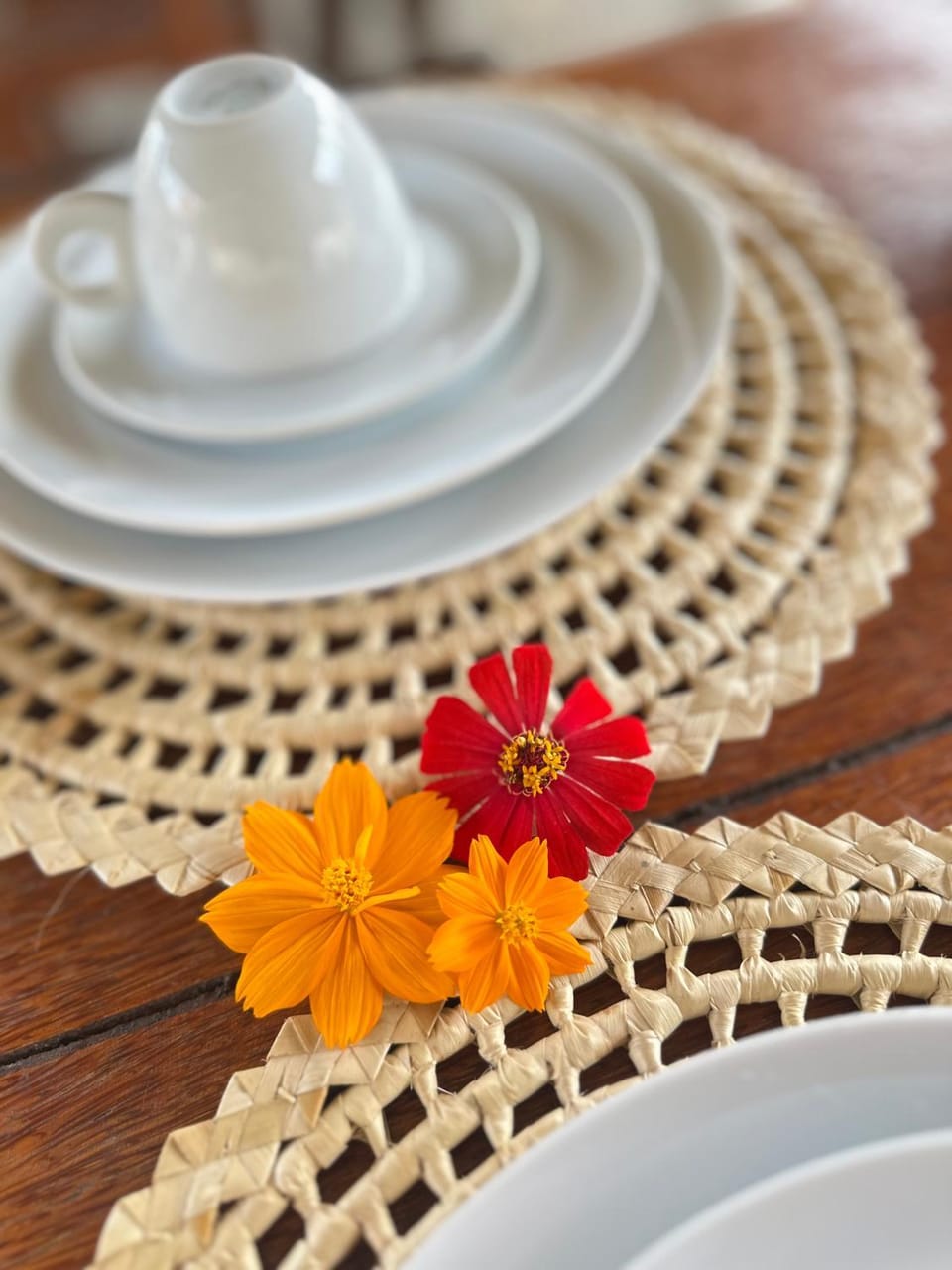 Chalés Milagres Beach Hostel in State of Alagoas, Brazil