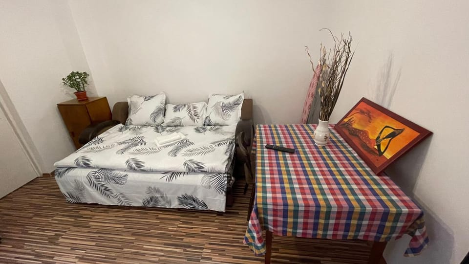 Apartament in Centrul Brașovului Apartment in Brasov