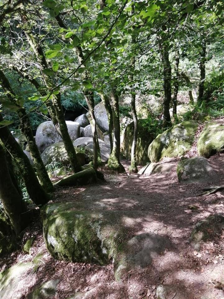 Les Gîtes du Triskell, gîte du Feu House in Brittany