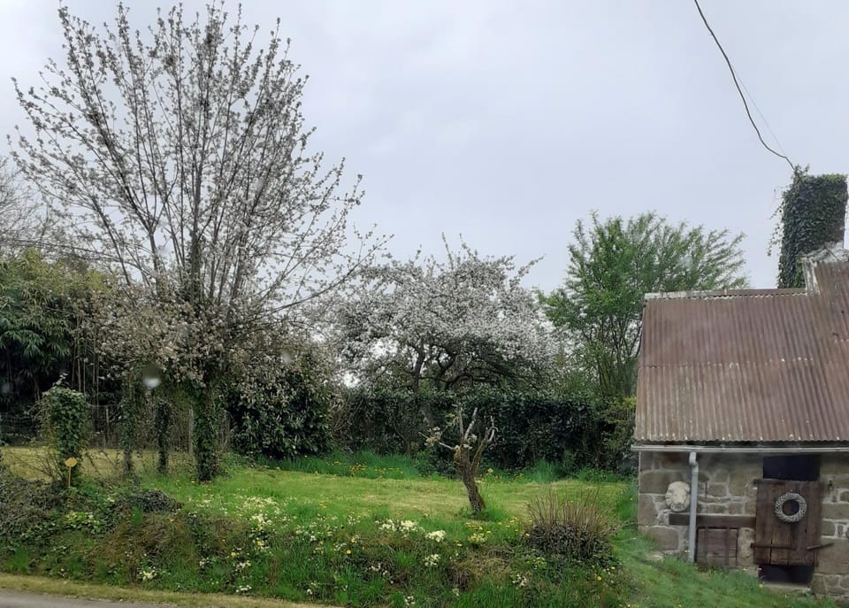 Wildberry cottage House in Pays de la Loire