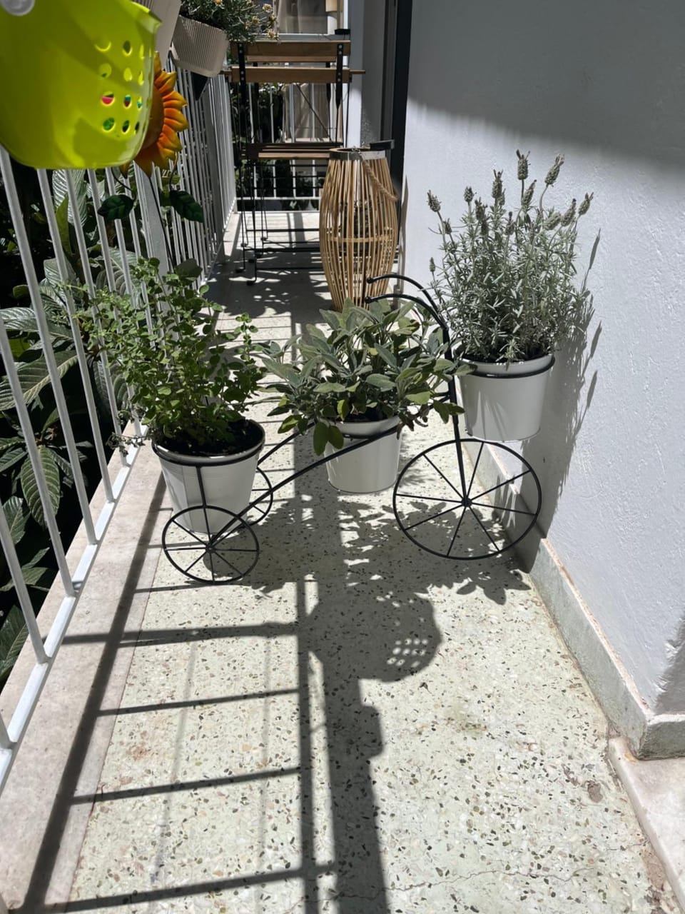 Alex’s home next to Laiko Apartment in Athens