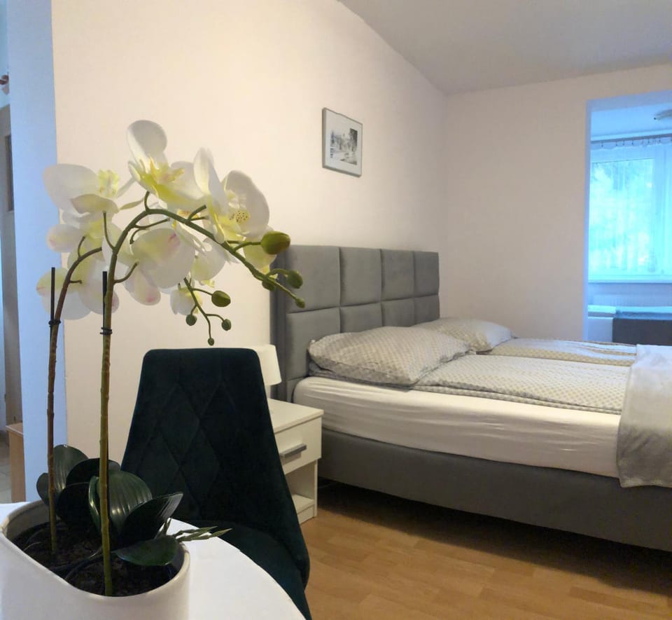Villa Ola Bed and Breakfast in Lower Silesian Voivodeship