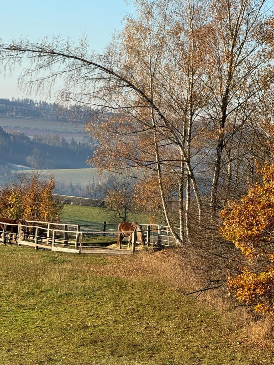 Natural landscape, View (from property/room)