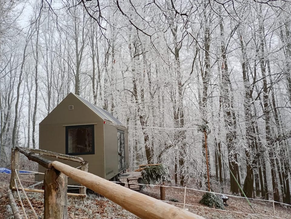 Property building, Natural landscape, Winter