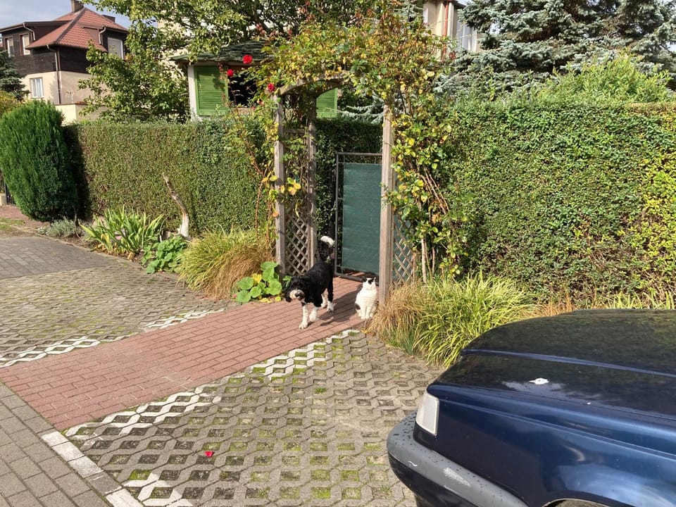 Facade/entrance