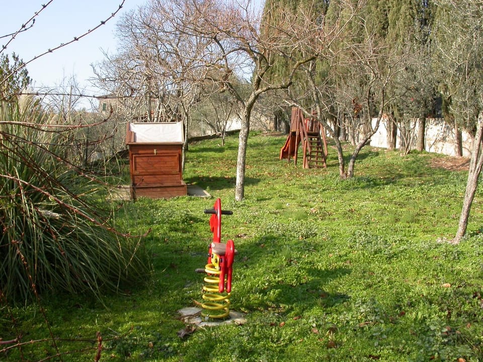 Children play ground, Garden