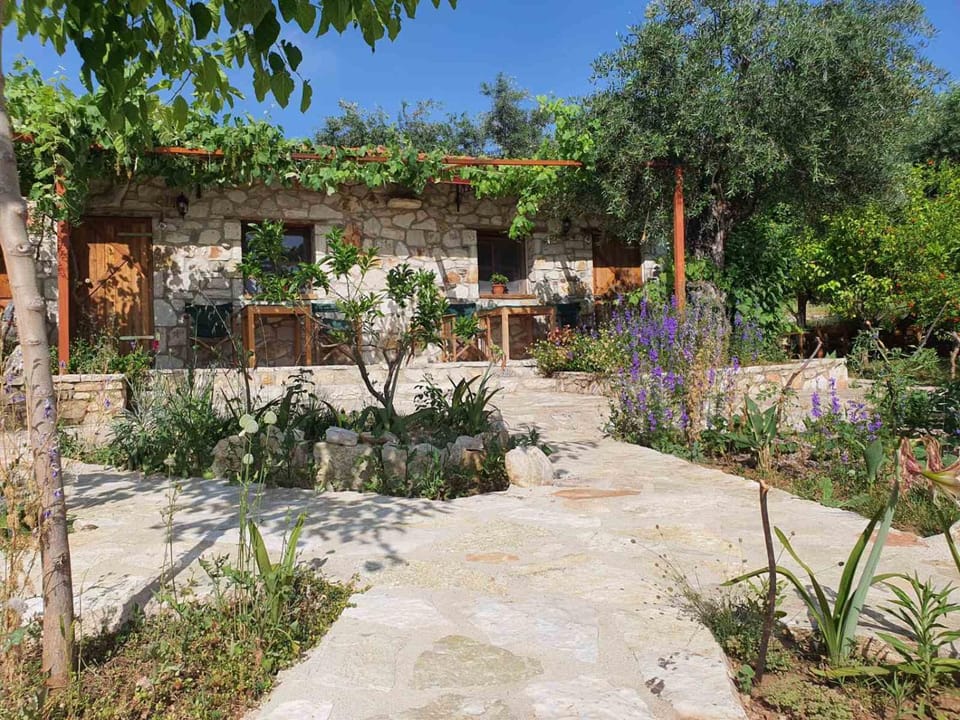 Patio, Garden