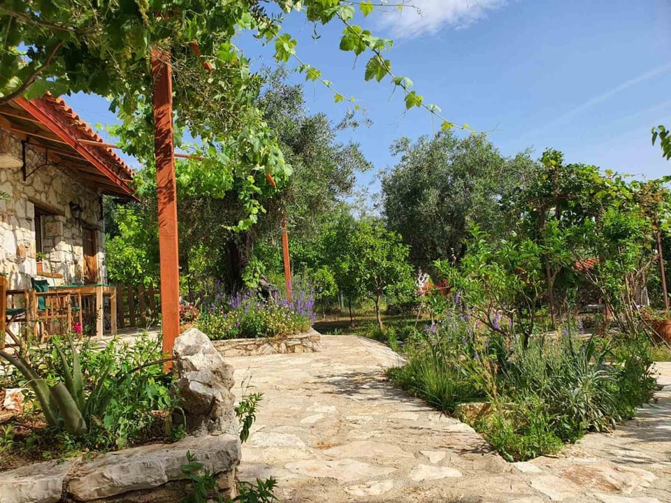 Property building, Garden