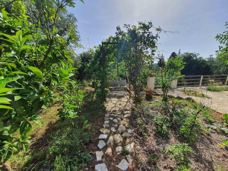 Natural landscape, Garden