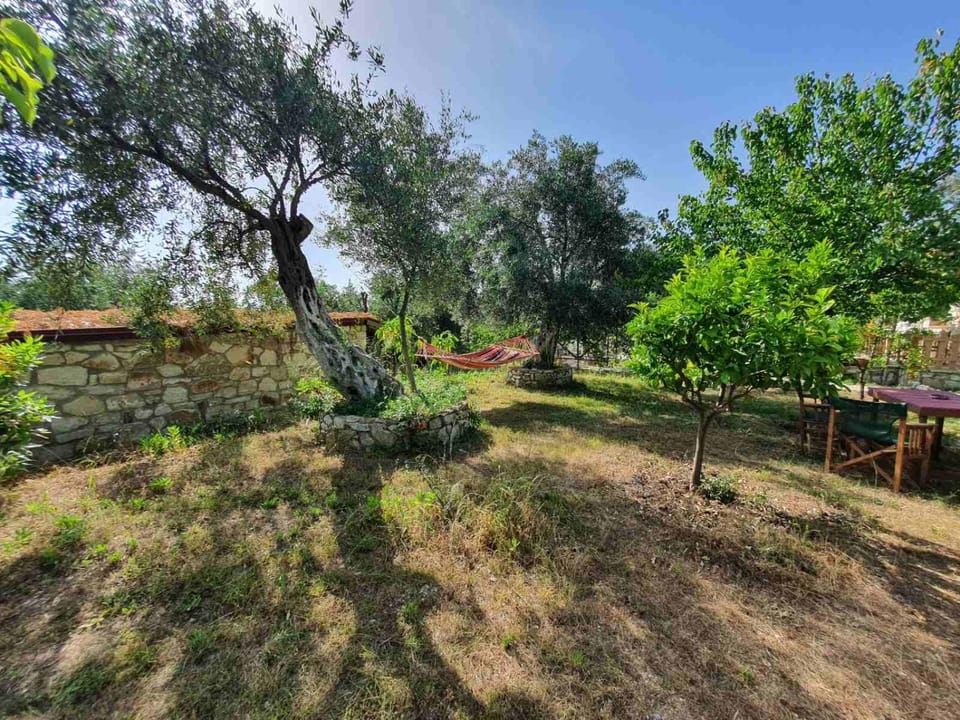 Natural landscape, Garden