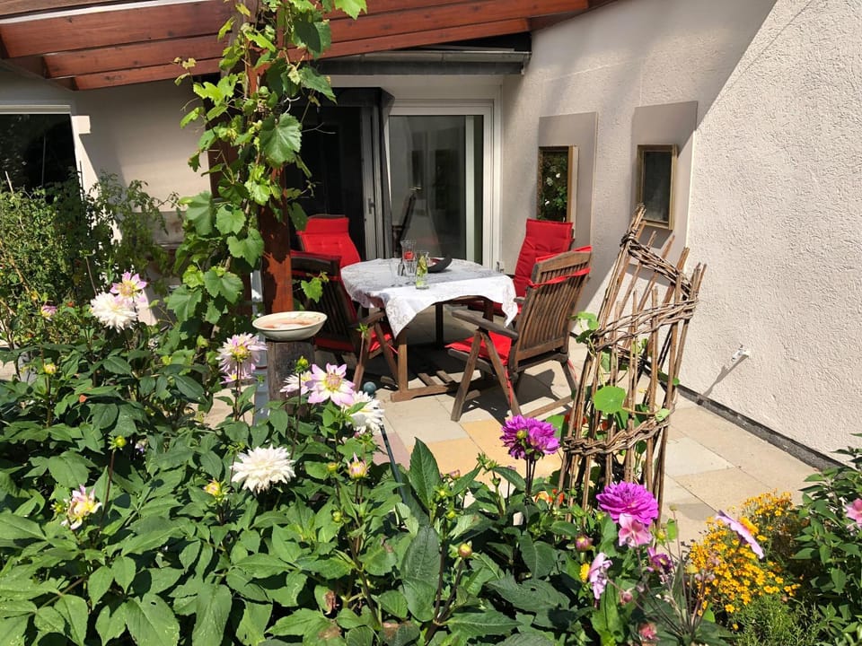 Patio, Balcony/Terrace, Balcony/Terrace