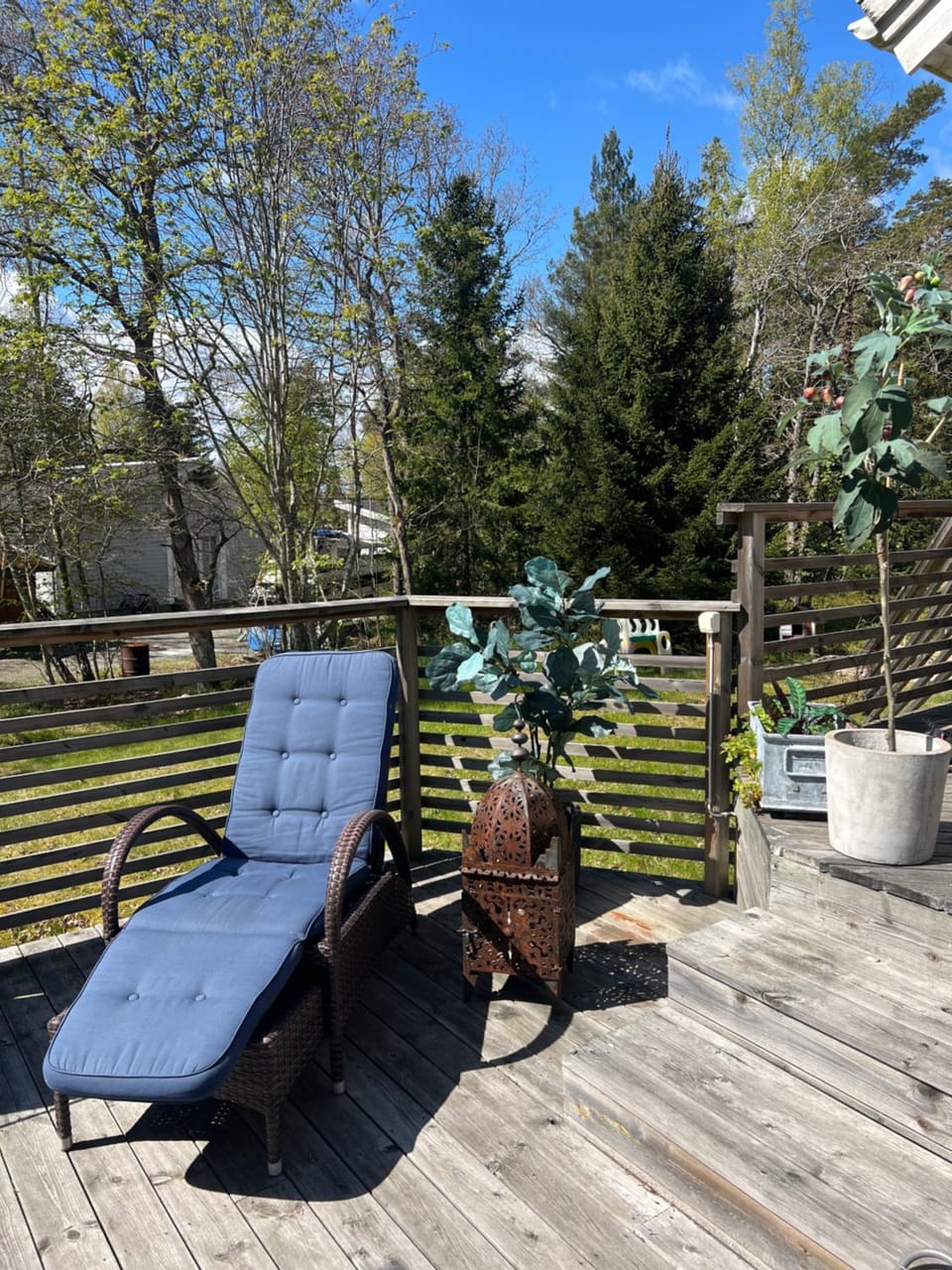 Day, Balcony/Terrace, sunbed