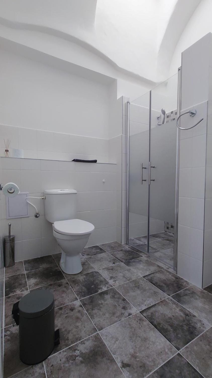 Shower, Toilet, Bathroom, internet, towels