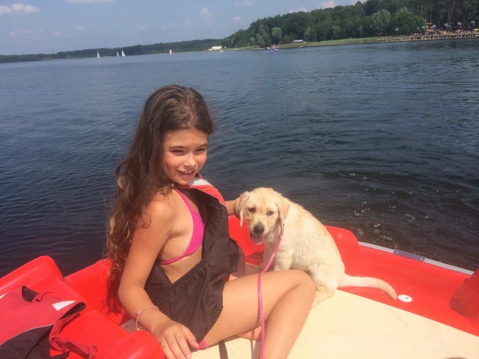 Activities, Pets