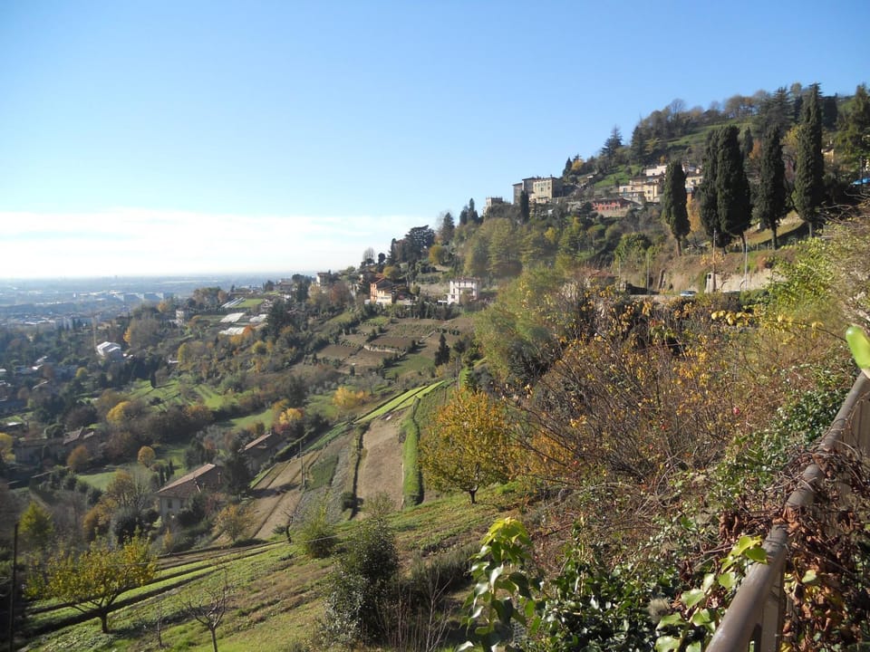 View (from property/room)