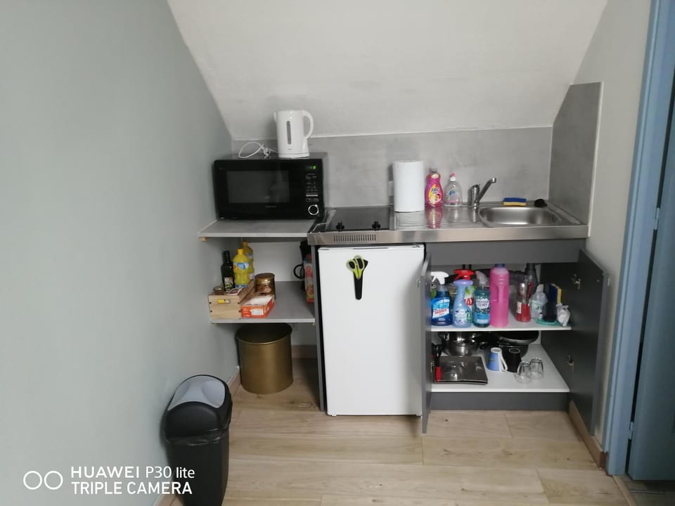 Coffee/tea facilities, Kitchen or kitchenette, minibar, stove