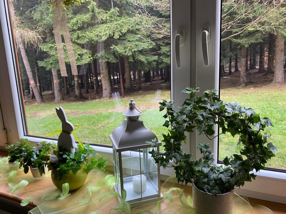 Garden, Dining area, Garden view