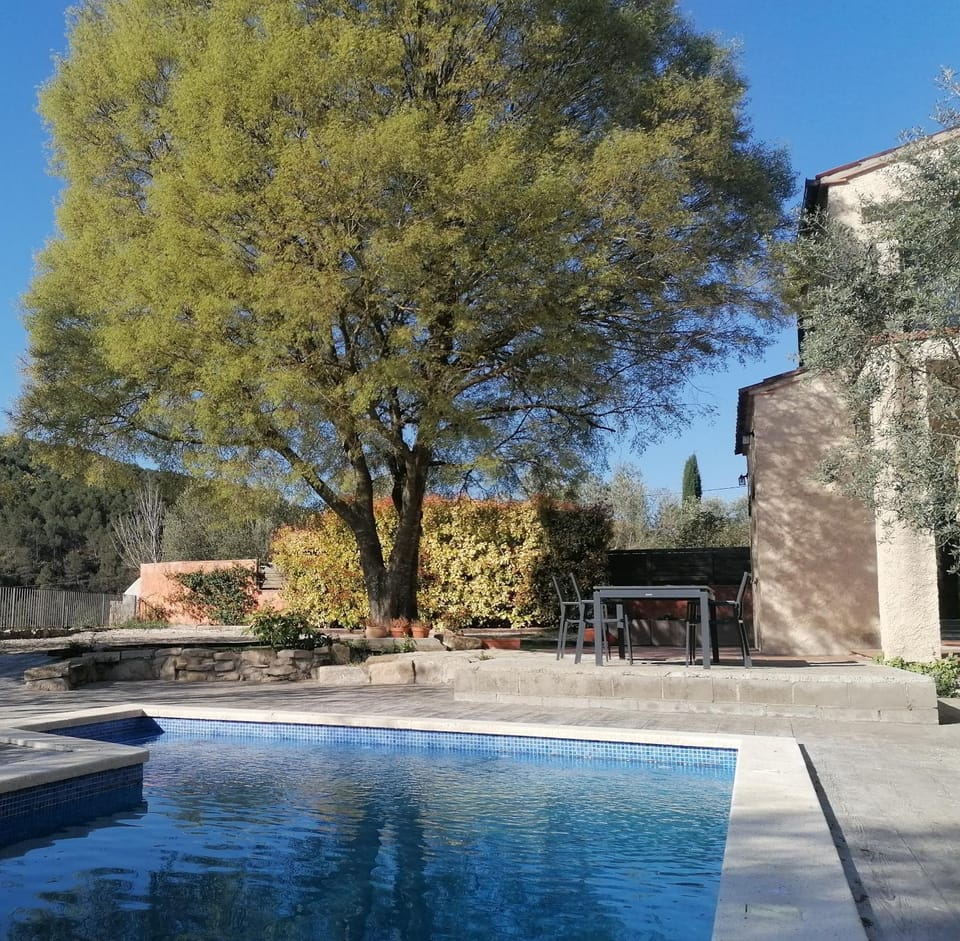 Day, Pool view, Swimming pool