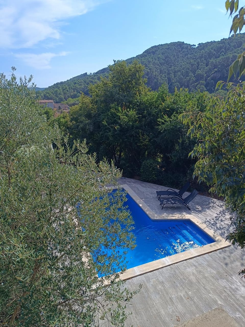 Pool view