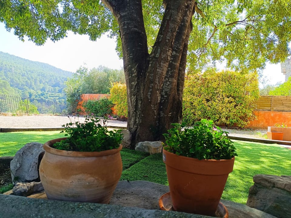 Natural landscape, Garden, Garden view, Mountain view