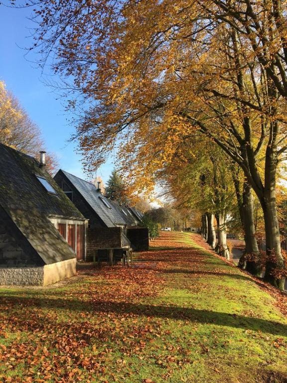 Casa Monica Chalet in Wallonia, Belgium