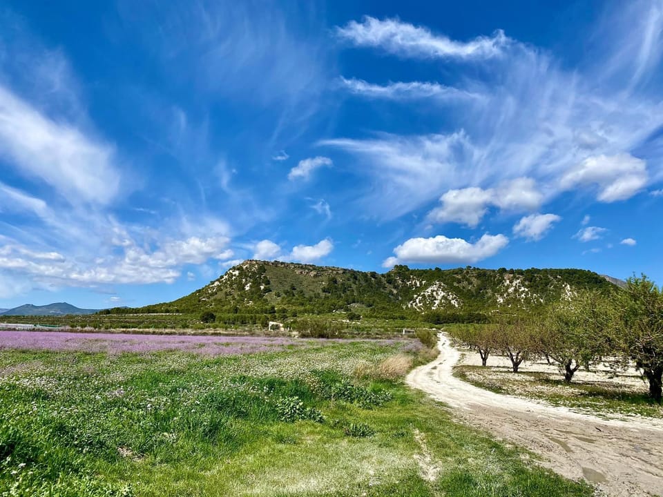 Natural landscape