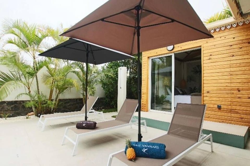 Patio, Garden, Garden view, sunbed