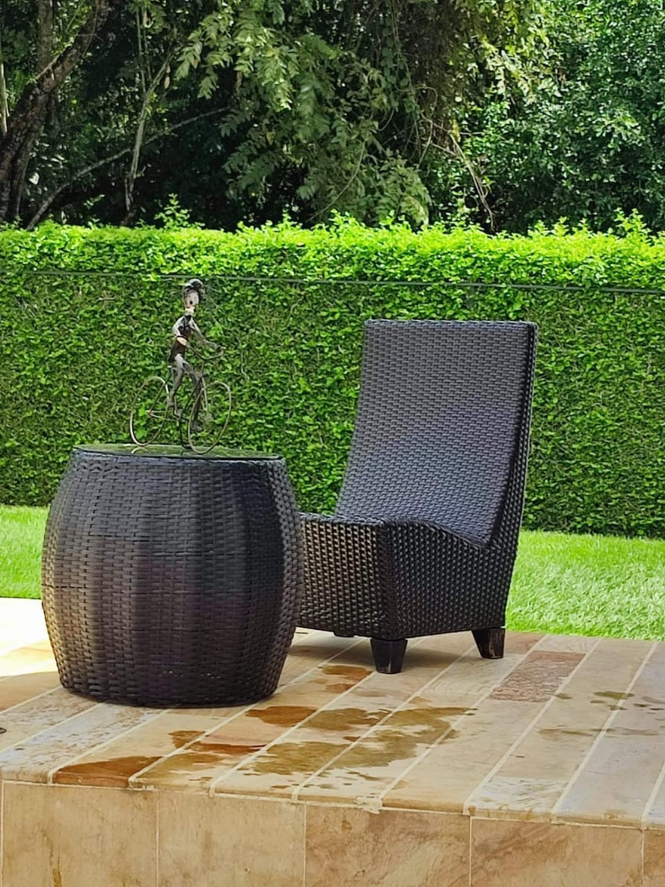 Garden view