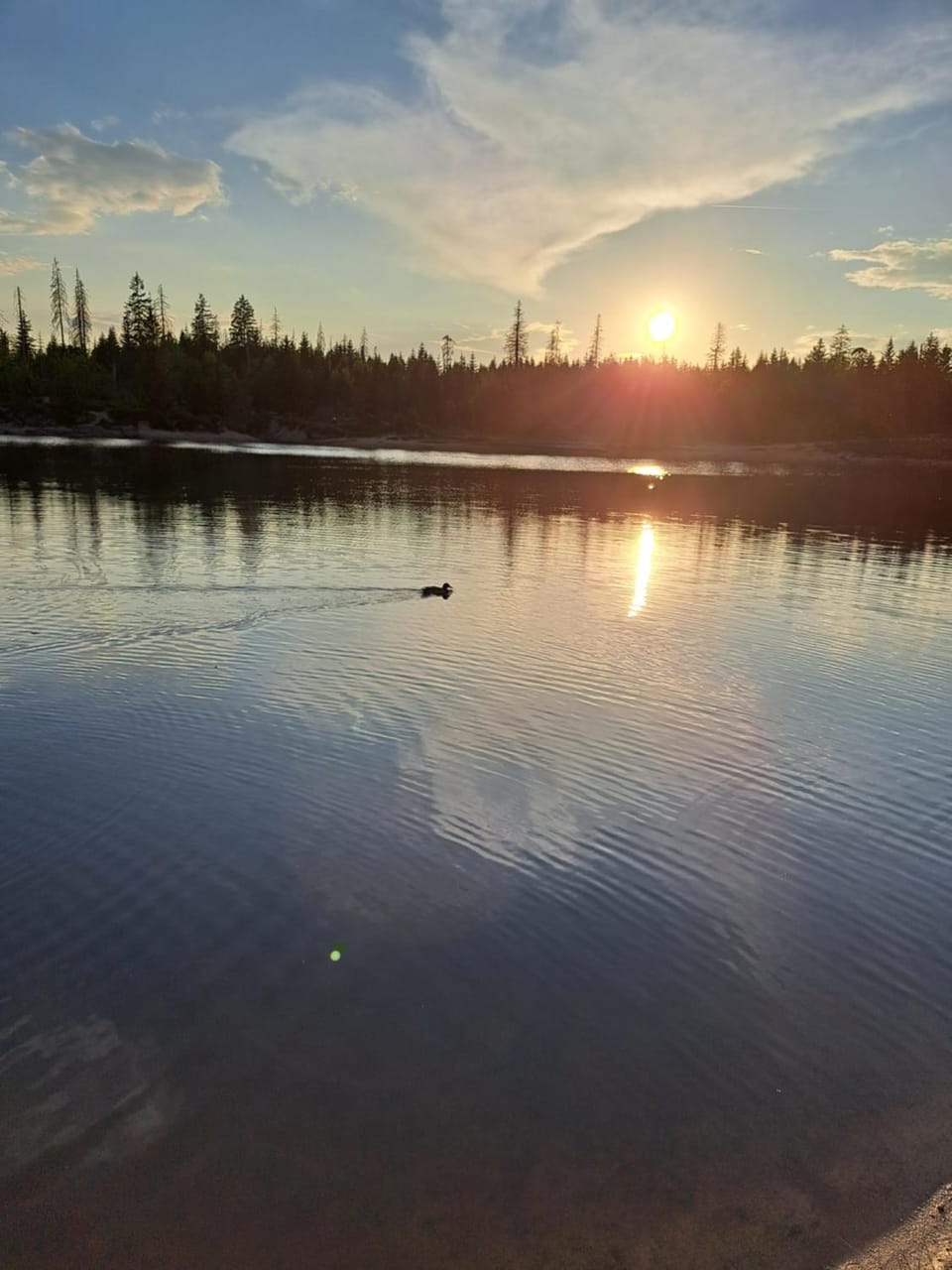 Lake view
