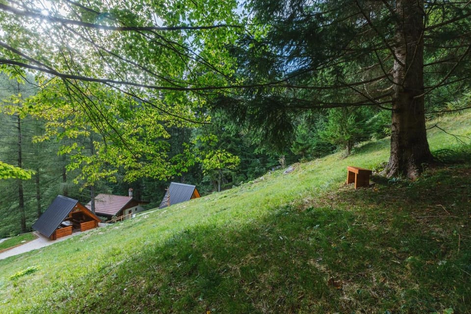 Nature escape woodhouse House in Carinthia, Austria