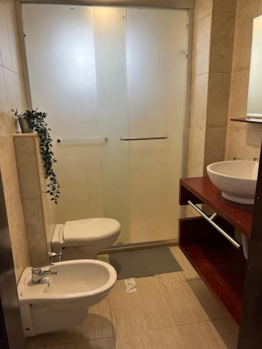 Shower, Toilet, Bathroom, bidet