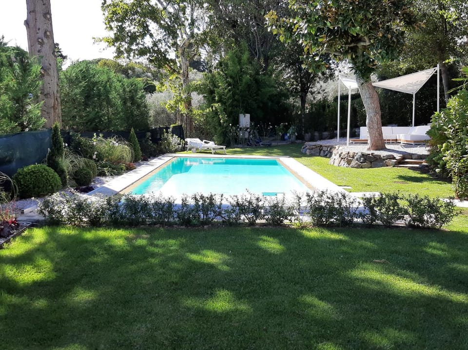 Garden, Garden view, Pool view, Swimming pool, Swimming pool, sunbed