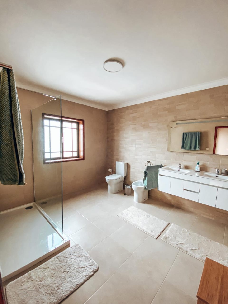 Shower, Toilet, Bathroom, towels