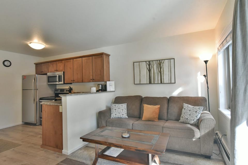 Wildwood Suites Bighorn Condo: Ski-in, Downtown Breck Apartment in Breckenridge