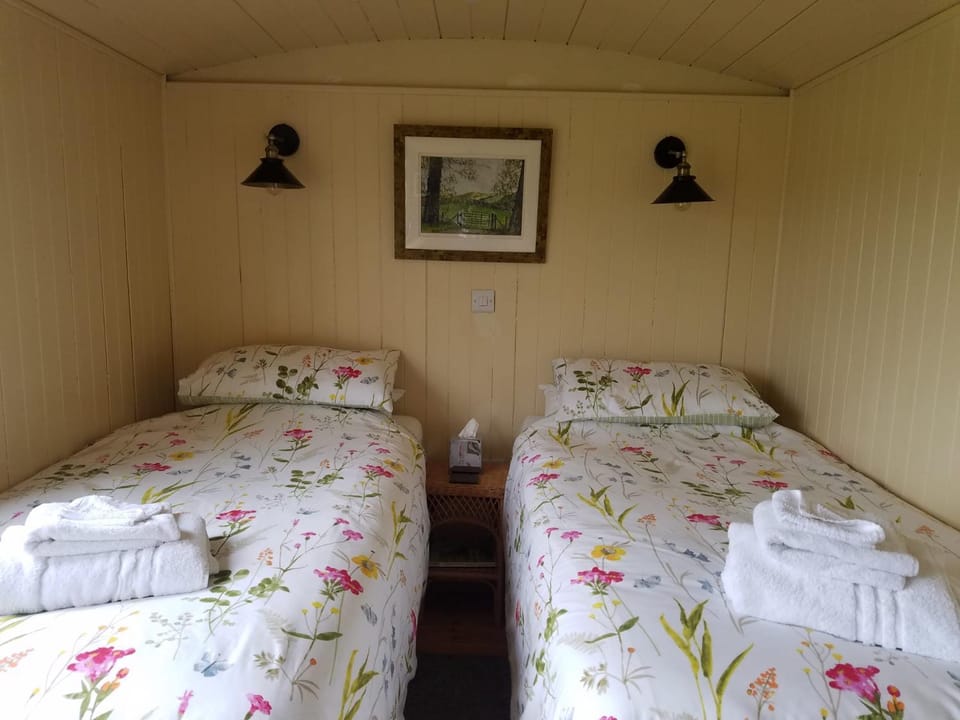 Rhydydefaid Cwt Clyd - Cosy Hut Chalet in Wales