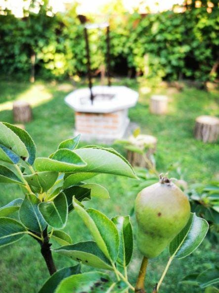 Garden, Garden view