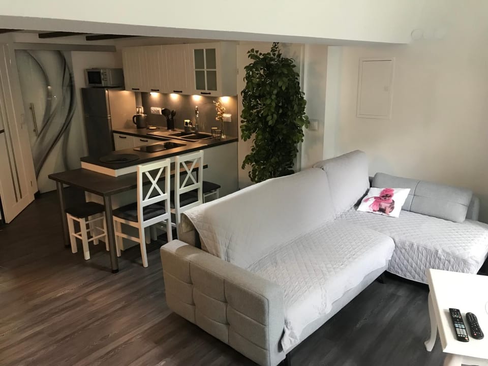 Kitchen or kitchenette, Living room, Seating area, Dining area, minibar, pet friendly, stove